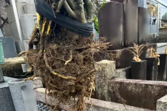 【墓石補修・墓誌新設】一宮市対応｜名古屋市千種区｜竿石交換・植木撤去｜施工事例