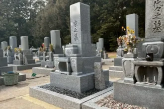 【新規墓石建立】一宮市対応｜豊橋市｜中国御影8寸DX型和型墓石｜施工事例